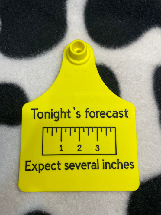 TONIGHTS FORECAST - PRE DESIGNSED TAGS