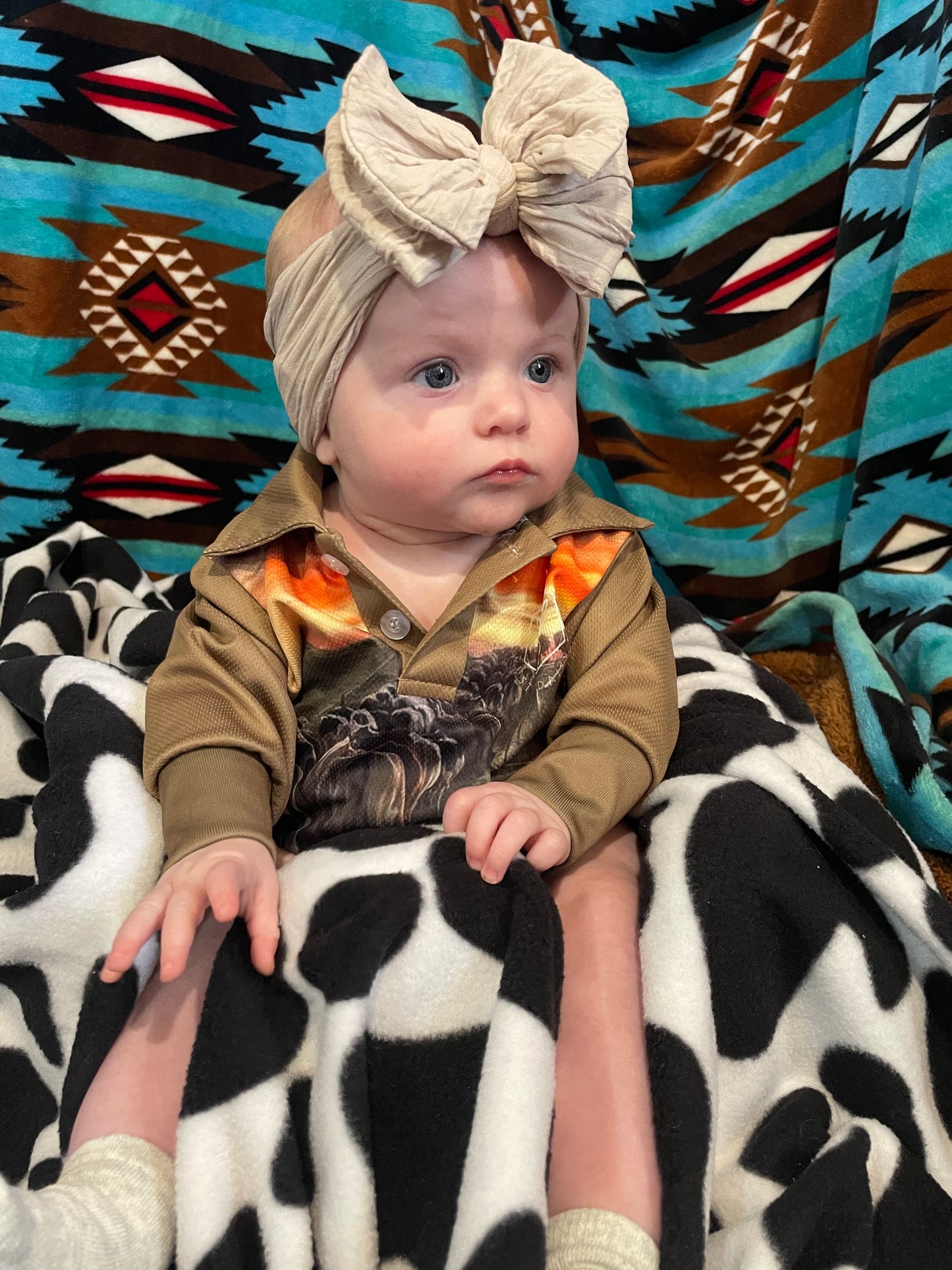 COWS & SUNSET - PRE ORDER